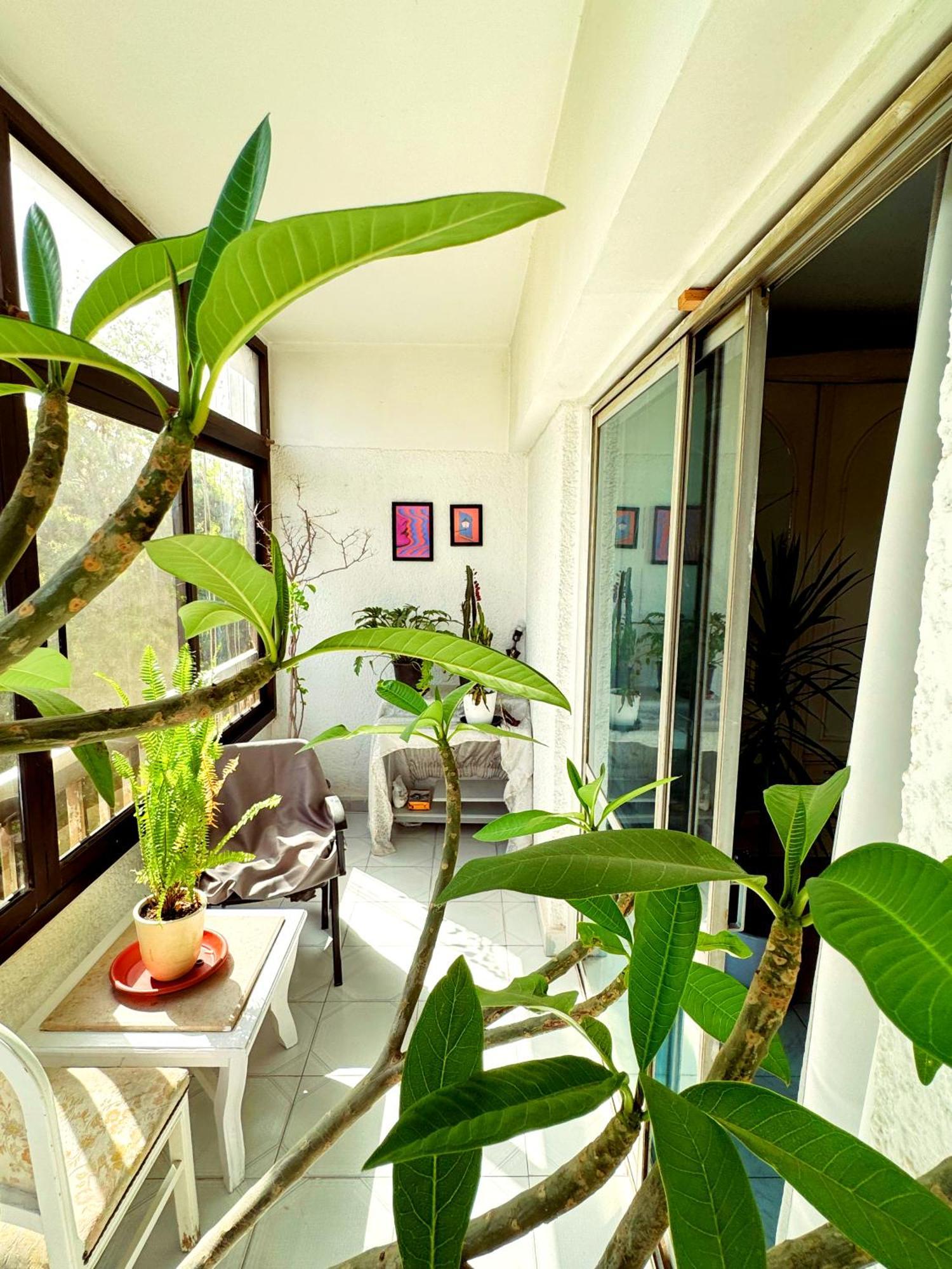 Large Room With Its Own Balcony القاهرة المظهر الخارجي الصورة
